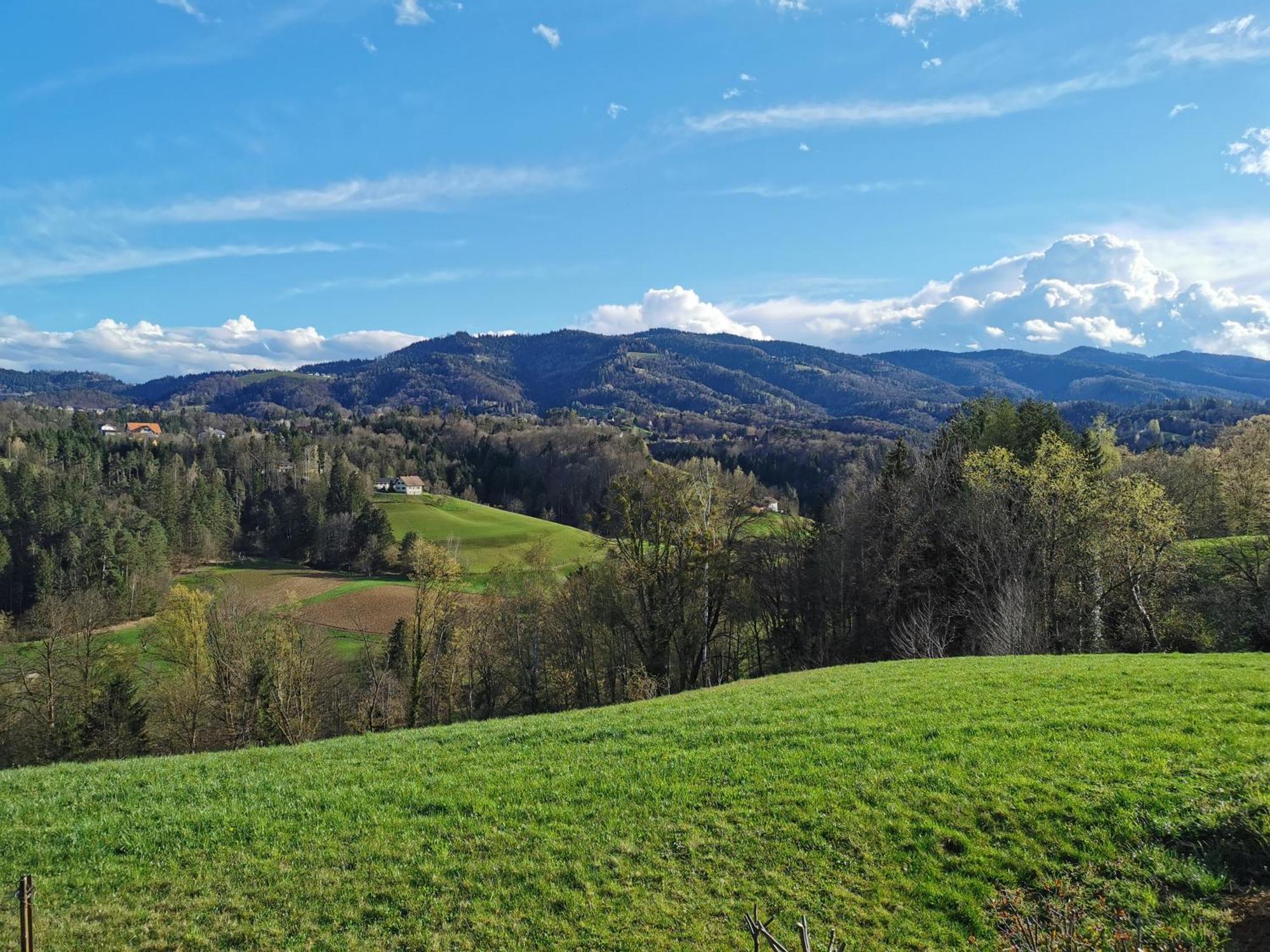 Traumhaftes Ferienhaus Am Lateinberg - 8455 Eibiswald Suedsteiermark Eksteriør bilde